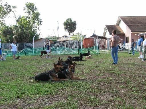 K9 Training Event